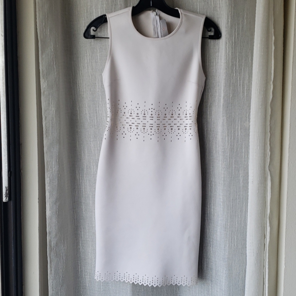 Clover Canyon Bodycon Dress